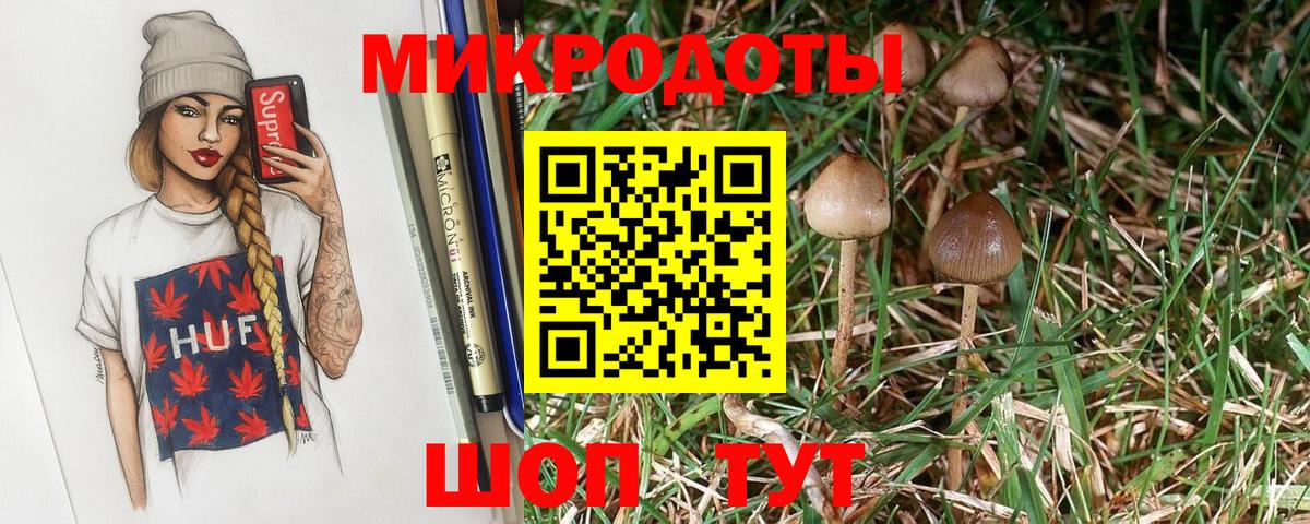 Псилоцибиновые грибы Cubensis Красный Сулин